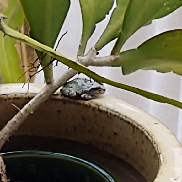 Meet your Posher, Barb - Picture 7 of 8